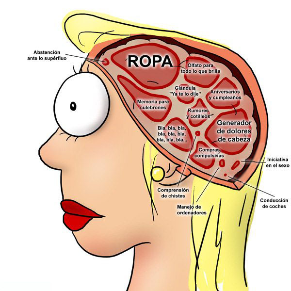 Su cerebro