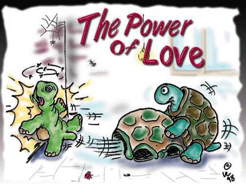 Amores que matan (2)
