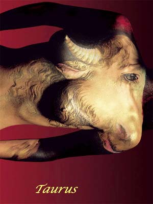 Tauro